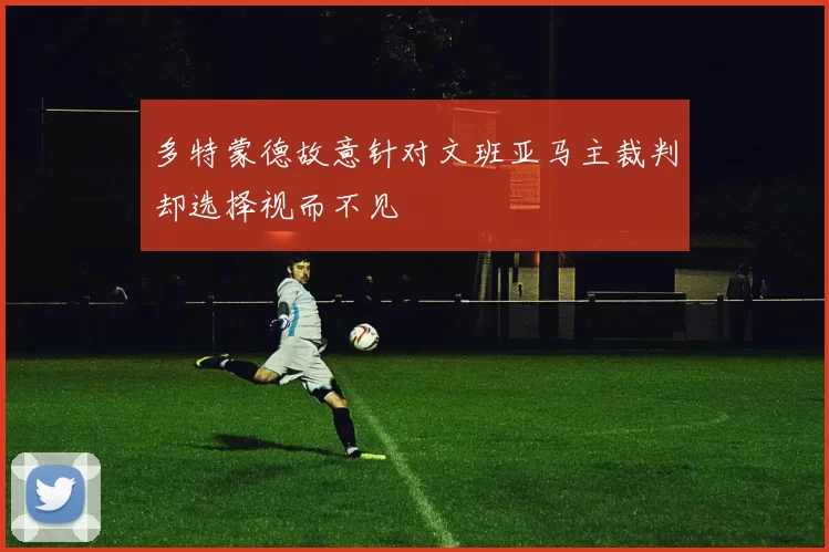 多特蒙德故意针对文班亚马主裁判却选择视而不见
