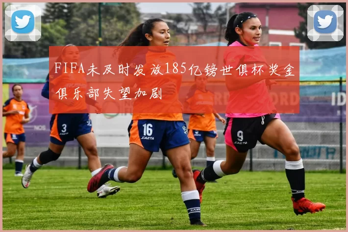 FIFA未及时发放185亿镑世俱杯奖金俱乐部失望加剧